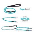 Walking Training Leash Comfortable Shock Reflective Bungee